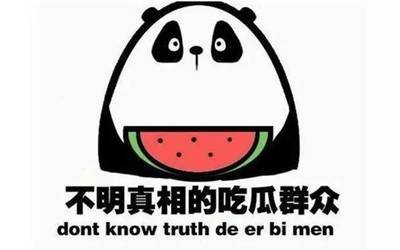 关于法国啄木鸟