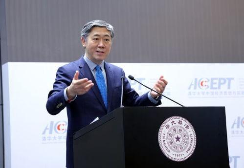 李稻葵视频,经济趋势与未来展望