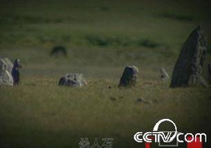 杀人谷视频,探寻神秘谋杀案的真相与谜团