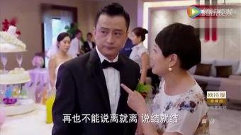 刘涛结婚视频,浪漫瞬间感动无数网友