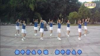 广场舞你牛什么牛视频,揭秘“你牛什么牛”视频背后的舞蹈魅力